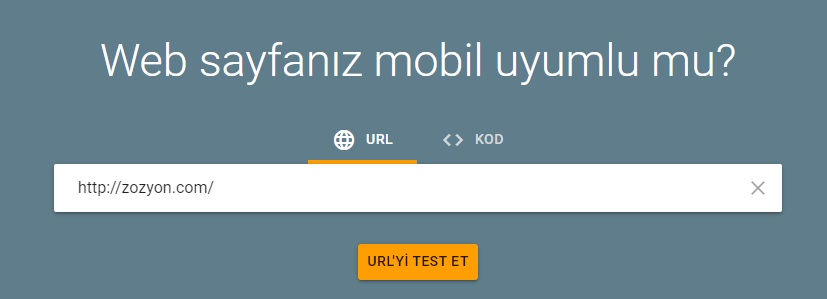 Mobil Uyumluluk Testi