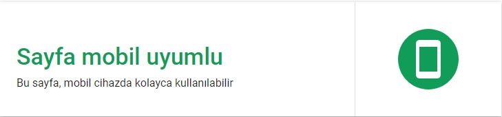 Mobil Uyumluluk Test Sonucu